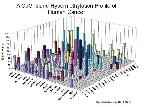 Bad Data Visualization Examples