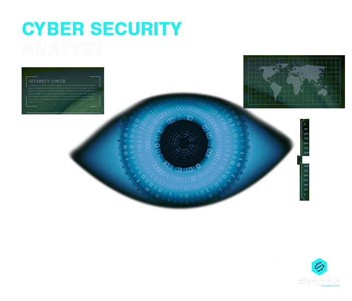 cyber security analyst